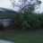 no trees left